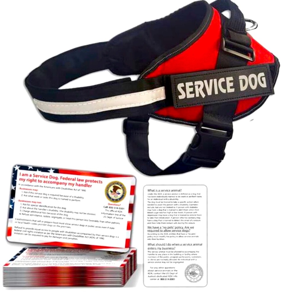 Service Dog Puppy red Vest ID Tag 50 ADA Info w/Cards Harness Collar EXTRA LARGE